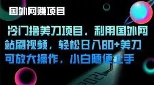 冷门撸美刀项目，利用国外网站刷视频，轻松日入80+美刀，可放大操作，小白随便上手-山河网创