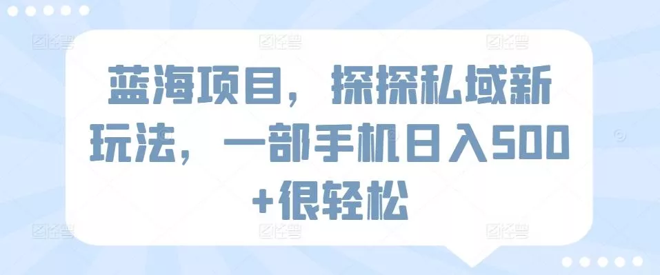 蓝海项目，探探私域新玩法，一部手机日入500+很轻松【揭秘】-山河网创