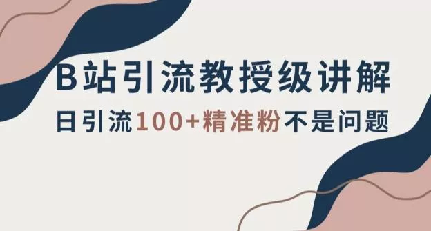 B站引流教授级讲解，细节满满，日引流100+精准粉不是问题【揭秘】-山河网创