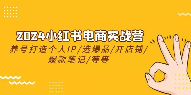 2024小红书电商实战营，养号打造IP/选爆品/开店铺/爆款笔记/等等(24节)-山河网创