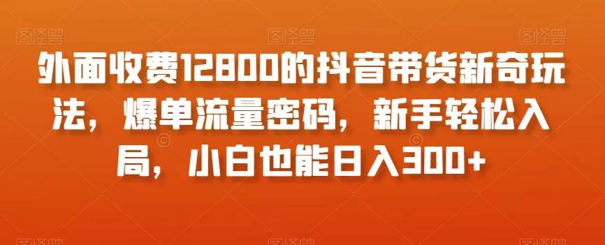 外面收费12800的抖音带货新奇玩法，爆单流量密码，新手轻松入局，小白也能日入300+【揭秘】-山河网创