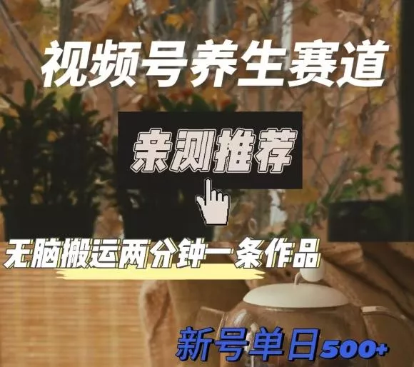 视频号养生赛道暴力掘金，无脑搬运，两分钟一条作品-新日单入500+-山河网创