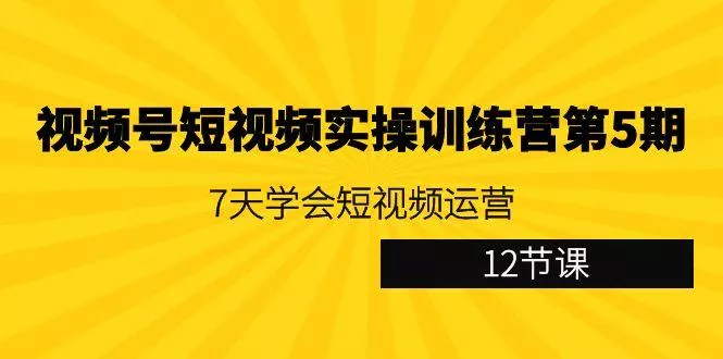 视频号短视频实操训练营第5期：7天学会短视频运营(12节课)-山河网创