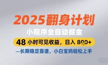 2025小程序全自动掘金，48 小时可见收益，日入8张，长期稳定靠谱，小白宝妈轻松上手【揭秘】-山河网创