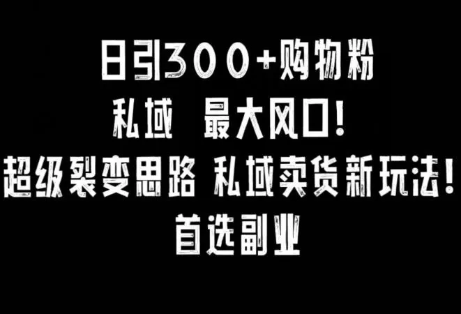 日引300+购物粉，超级裂变思路，私域卖货新玩法，小红书首选副业【揭秘】-山河网创