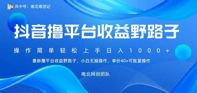 最新撸抖音平台收益野路子，操作简单，单价高，小白可无脑操作可日入1000+-山河网创