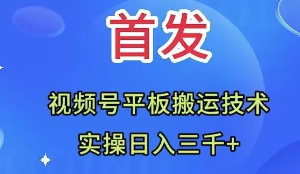 全网首发：视频号平板搬运技术，实操日入三千＋-山河网创