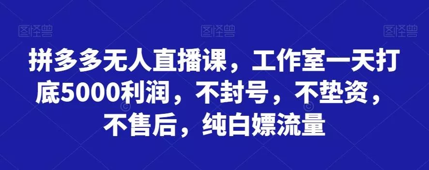 拼多多无人直播课，工作室一天打底5000利润，不封号，不垫资，不售后，纯白嫖流量-山河网创