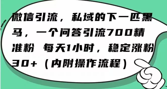怎么搞精准创业粉？微信新赛道，每天一小时，利用Ai一个问答日引100精准粉-山河网创