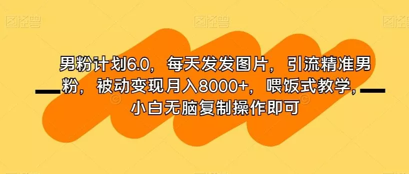 男粉计划6.0，每天发发图片，引流精准男粉，被动变现月入8000+，喂饭式教学，小白无脑复制操作即可-山河网创