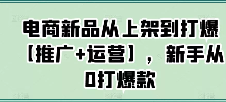 电商新品从上架到打爆【推广+运营】，新手从0打爆款-山河网创
