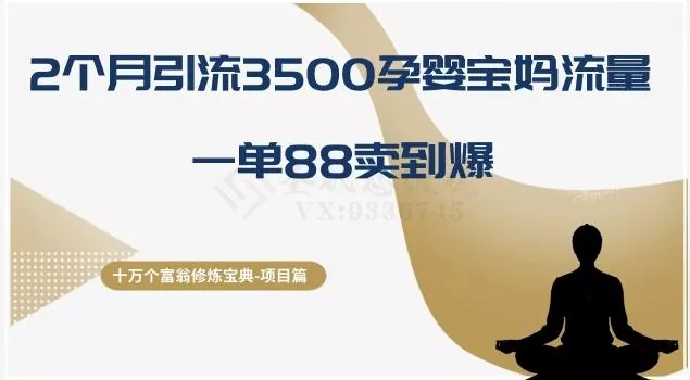 十万个富翁修炼宝典之13.2个月引流3500孕婴宝妈流量，一单88卖到爆-山河网创