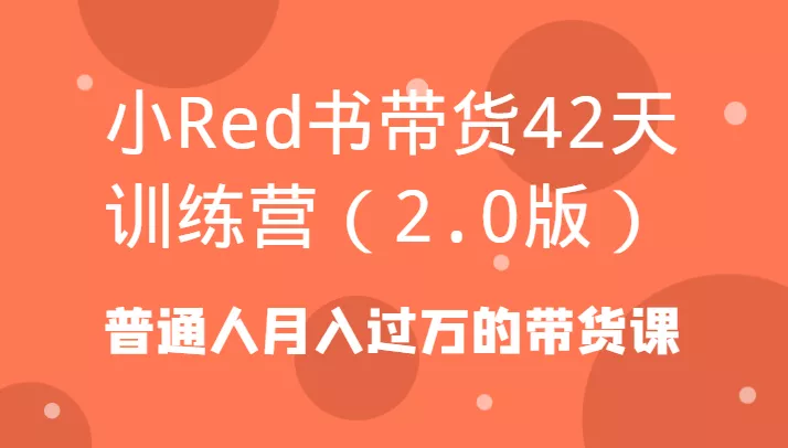 小Red书带货42天训练营(2.0版)普通人月入过万的带货课-山河网创