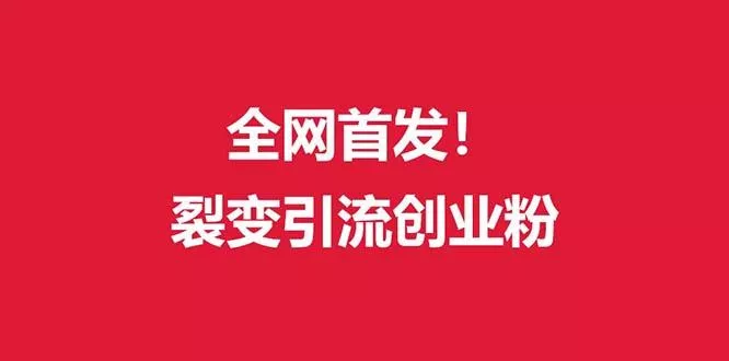 (全网首发)外面收费几千的裂变引流高质量创业粉-山河网创