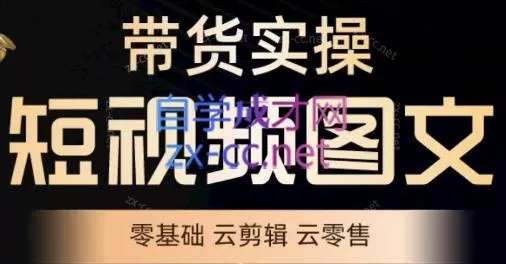 鑫哥·2024零基础短视频带货实操营-山河网创
