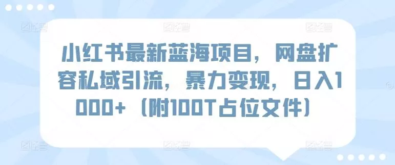 小红书最新蓝海项目，网盘扩容私域引流，暴力变现，日入1000+(附100T占位文件)【揭秘】-山河网创