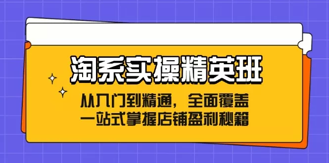 淘系实操精英班：从入门到精通，全面覆盖，一站式掌握店铺盈利秘籍-山河网创
