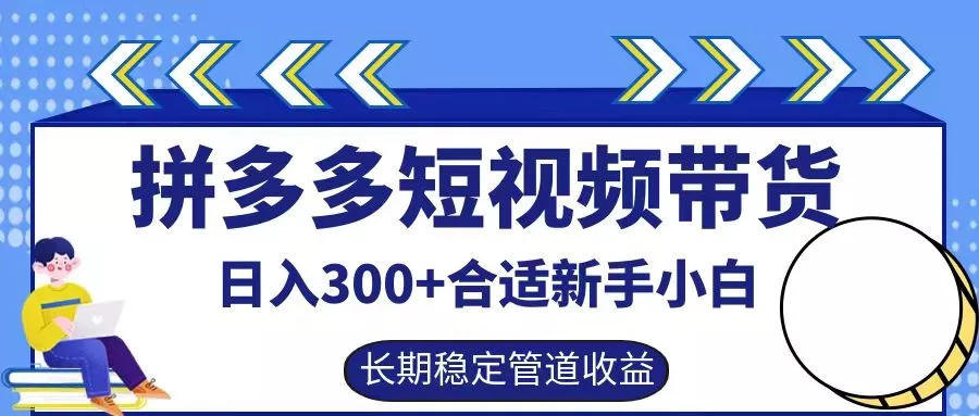 拼多多短视频带货日入300+，实操账户展示看就能学会-山河网创