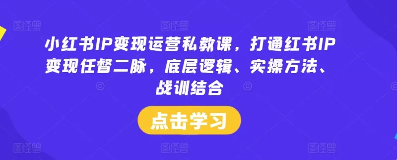 小红书IP变现运营私教课，打通红书IP变现任督二脉，底层逻辑、实操方法、战训结合-山河网创