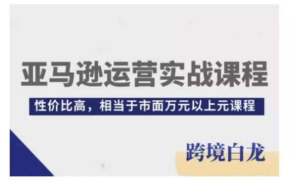 亚马逊运营实战课程，亚马逊从入门到精通，性价比高，相当于市面万元以上元课程-山河网创