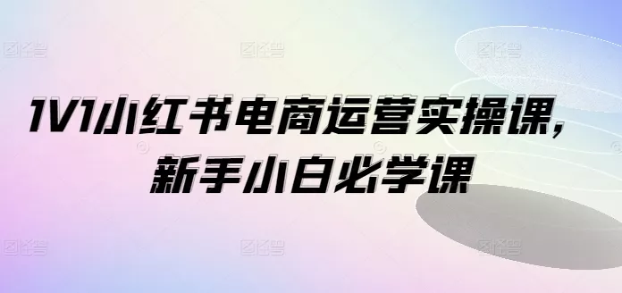 1V1小红书电商运营实操课，新手小白必学课-山河网创