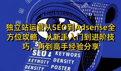 独立站运营从SEO到Adsense全方位攻略，从新手入门到进阶技巧，再到高手经验分享-山河网创