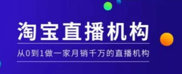 淘宝直播运营实操课【MCN机构】，从0到1做一家月销千万的直播机构-山河网创