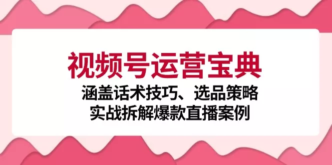 视频号运营宝典：涵盖话术技巧、选品策略、实战拆解爆款直播案例-山河网创