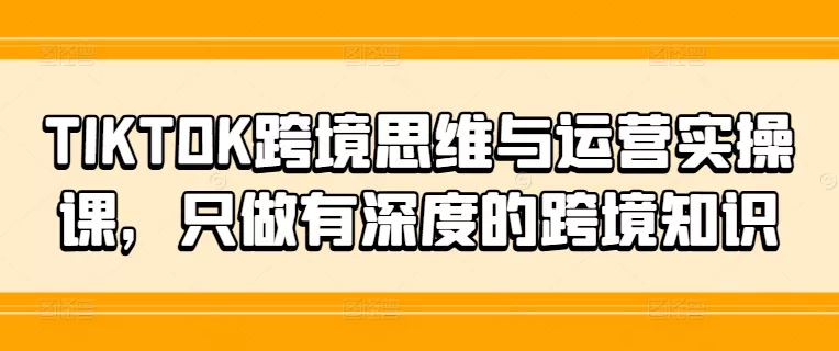 TIKTOK跨境思维与运营实操课，只做有深度的跨境知识-山河网创