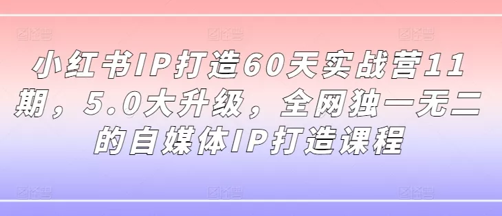 小红书IP打造60天实战营11期，5.0大升级，全网独一无二的自媒体IP打造课程-山河网创