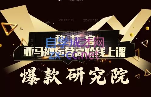 跨境移花宫·亚马逊运营高阶线上课-山河网创