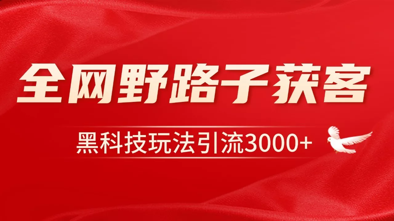 电商引流获客野路子全平台暴力截流获客日引500+-山河网创