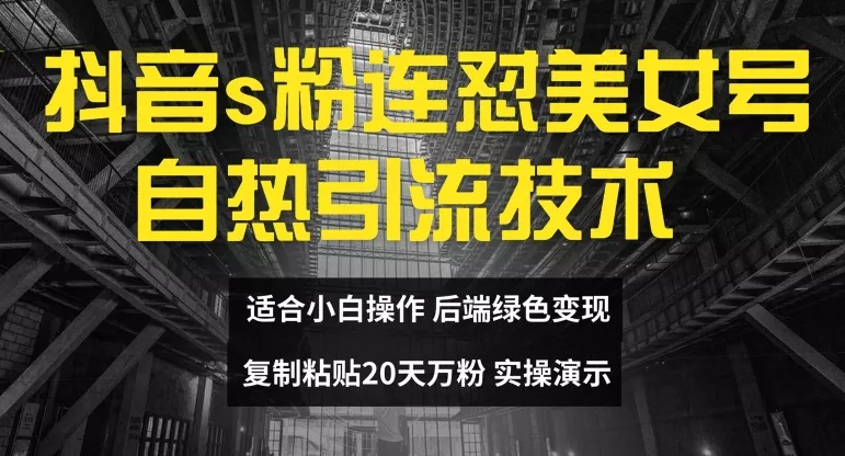 抖音s粉连怼美女号自热引流技术复制粘贴，20天万粉账号，无需实名制，矩阵操作【揭秘】-山河网创