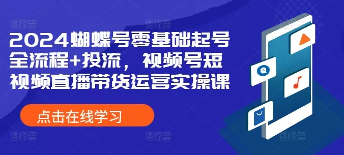 2024蝴蝶号零基础起号全流程+投流，视频号短视频直播带货运营实操课-山河网创