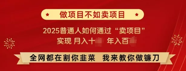 必看，做项目不如卖项目，2025普通人如何通过“卖项目”实现月入十个，年入百个-山河网创