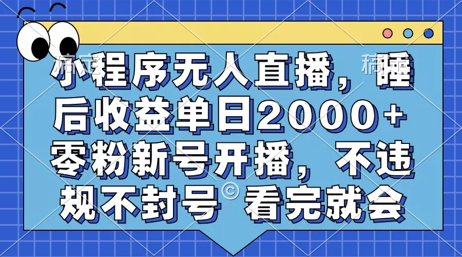 小程序无人直播，睡后收益单日2000+ 零粉新号开播，不违规不封号 看完就会-山河网创