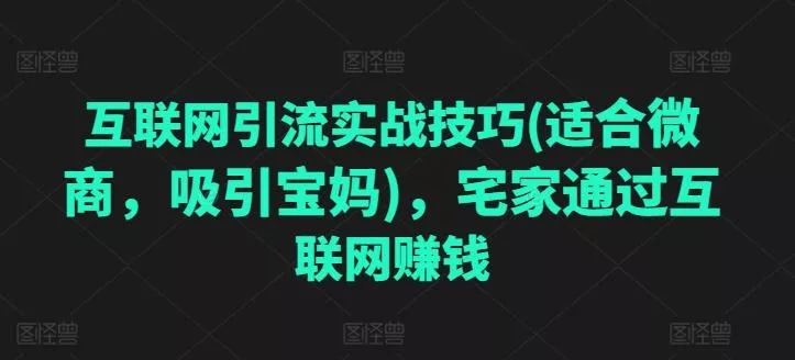 互联网引流实战技巧(适合微商，吸引宝妈)，宅家通过互联网赚钱-山河网创