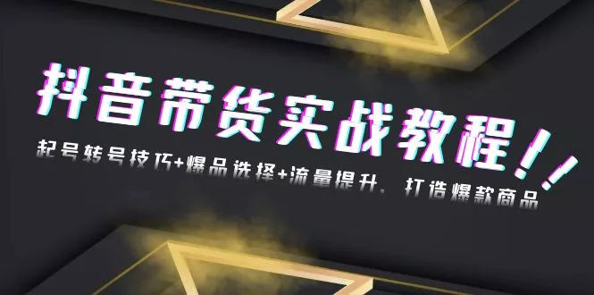 抖音带货实战教程：起号转号技巧+爆品选择+流量提升，打造爆款商品-山河网创