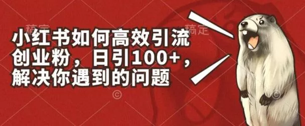 小红书如何高效引流创业粉，日引100+，解决你遇到的问题【揭秘】-山河网创