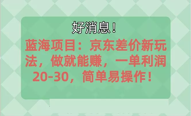 越早知道越能赚到钱的蓝海项目：京东大平台操作，一单利润20-30，简单…-山河网创
