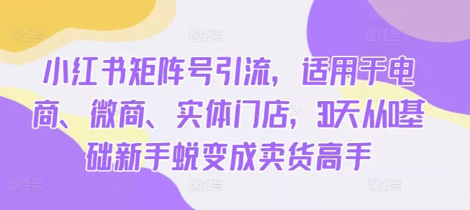 小红书矩阵号引流，适用于电商、微商、实体门店，30天从0基础新手蜕变成卖货高手-山河网创