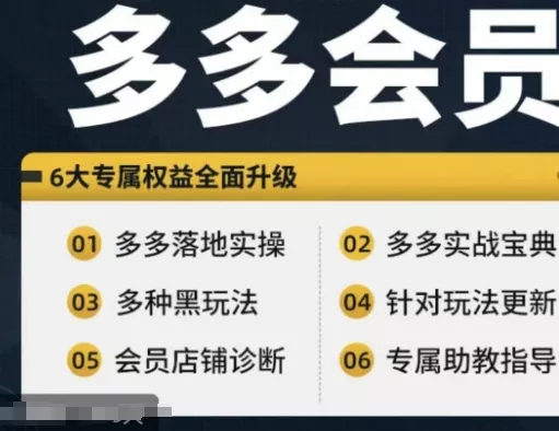拼多多会员，拼多多实战宝典+实战落地实操，从新手到高阶内容全面覆盖-山河网创