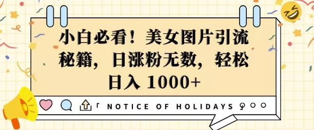 小白必看，美女图片引流秘籍，日涨粉无数，轻松日入几张【揭秘】-山河网创