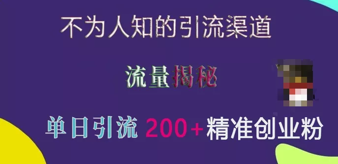 不为人知的引流渠道，流量揭秘，实测单日引流200+精准创业粉【揭秘】-山河网创