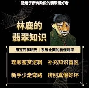 林鹿的翡翠知识，​用宝石眼光，系统全面的看懂翡翠-山河网创