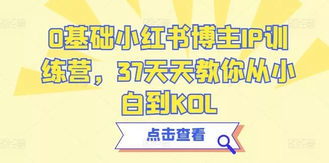 0基础小红书博主IP训练营，37天天教你从小白到KOL-山河网创