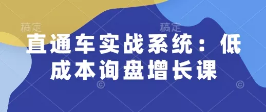 直通车实战系统：低成本询盘增长课，让个人通过技能实现升职加薪，让企业低成本获客，订单源源不断-山河网创