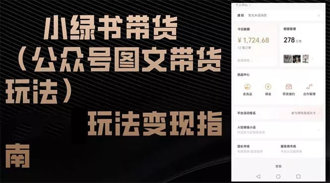 小绿书带货(公众号图文带货玩法-山河网创