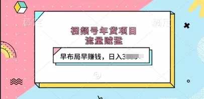 视频号年货项目，流量贼猛，早布局早挣钱，日入上k【揭秘】-山河网创