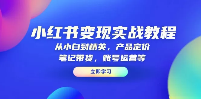 小红书变现实战教程：从小白到精英，产品定价，笔记带货，账号运营等-山河网创